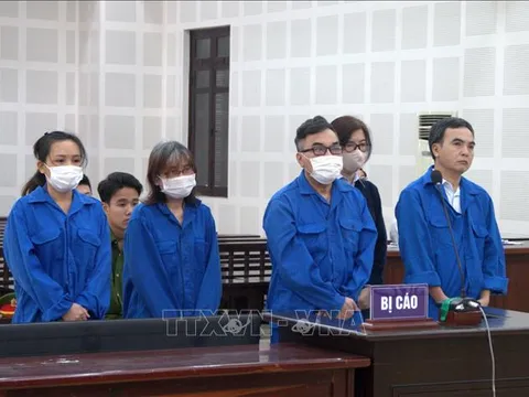 Cựu Tổng Giám đốc Công ty Nhà Đà Nẵng lĩnh án 5 năm tù