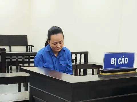 Nữ giám đốc lĩnh án 10 năm tù vì lừa đảo đi du học nước ngoài