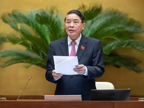 Trình Quốc hội xem xét dự án Luật Bảo vệ quyền lợi người tiêu dùng (sửa đổi) tại Kỳ họp thứ 5 tới