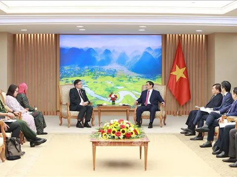 Thủ tướng Phạm Minh Chính tiếp Đại sứ Malaysia tại Việt Nam