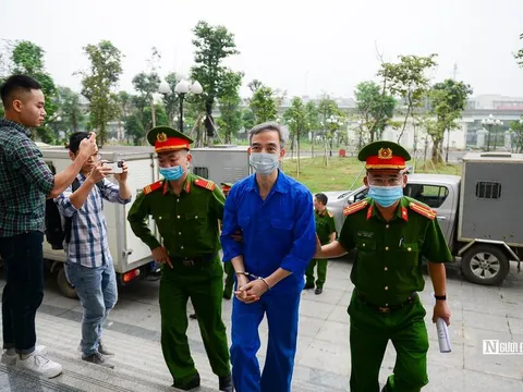 Chuyện Giáo sư Tuấn Tim ra tòa