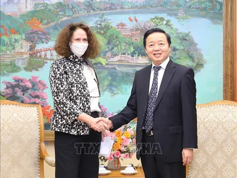 Phó Thủ tướng Trần Hồng Hà tiếp Giám đốc Quốc gia Ngân hàng Thế giới tại Việt Nam