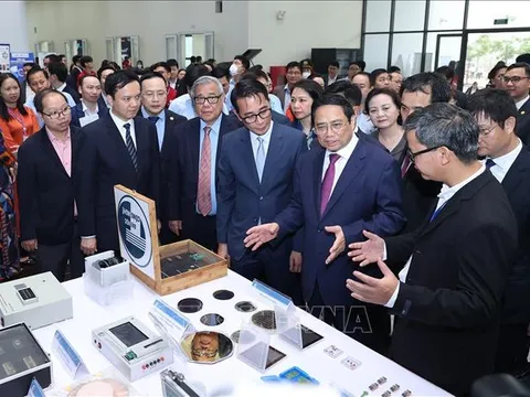 Đào tạo chuyên sâu các ngành chuyển đổi số, chuyển đổi xanh, kinh tế tuần hoàn