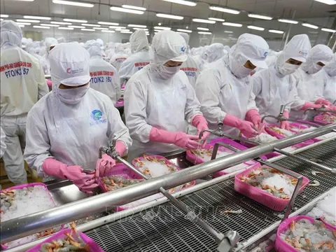 Quyết liệt tháo gỡ khó khăn, thúc đẩy sản xuất, xuất khẩu lâm sản và thuỷ sản