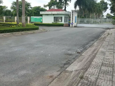 Bảo vệ đâm đồng nghiệp tử vong trước cổng công ty ở TP.HCM