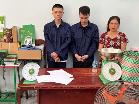 Triệt phá đường dây trồng, tiêu thụ cần sa quy mô lớn ở TP.HCM