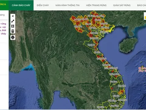 Thủ tướng chỉ đạo tăng cường các biện pháp cấp bách phòng cháy, chữa cháy rừng