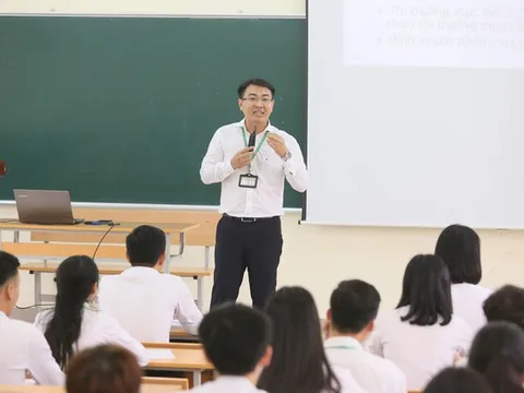 Quy định mới về giảng viên trong xác định năng lực đào tạo đại học, thạc sĩ, tiến sĩ