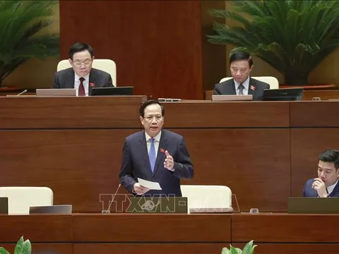 Hình thức giám sát tối cao trực tiếp, hiệu quả