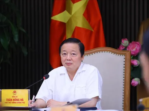 Cần có các cơ chế sáng tạo trong thí điểm năng lượng mặt trời, năng lượng tái tạo