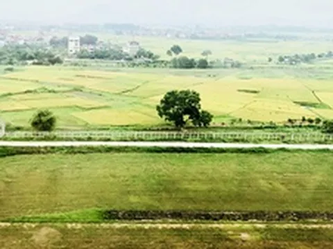 Chỉ đạo, điều hành của Chính phủ, Thủ tướng Chính phủ ngày 17/6