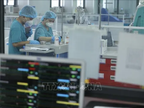 Những chỉ đạo, điều hành nổi bật của Chính phủ, Thủ tướng tuần 19 - 23/6