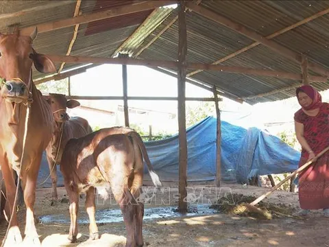 Hoàn thiện khuôn khổ pháp lý về tổ chức, hoạt động của Quỹ Hỗ trợ nông dân