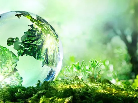 Định mức hoạt động thực hiện đánh giá môi trường chiến lược của quy hoạch