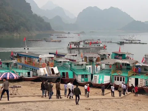 Giám đốc bến cảng du lịch Thung Nai bị khởi tố về tội 'Trốn thuế'