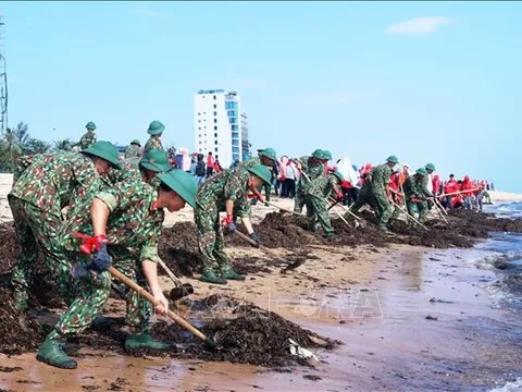 Ban hành 11 quy trình thực hiện thủ tục hành chính về bảo vệ môi trường