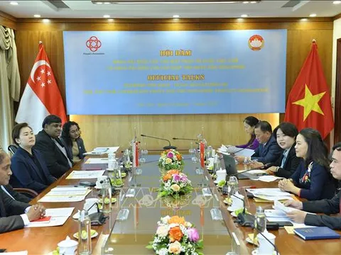 Việt Nam - Singapore tăng cường chia sẻ kinh nghiệm về xây dựng mạng lưới quản lý cộng đồng