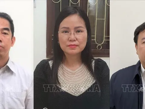 Vụ 'chuyến bay giải cứu': Gần 120 luật sư bào chữa cho 54 bị cáo