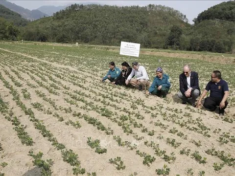 Hoàn thiện chính sách đất đai đối với đồng bào dân tộc thiểu số