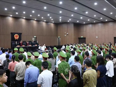 Vụ 'Chuyến bay giải cứu': Hành vi phạm tội của các bị cáo gây bức xúc trong dư luận xã hội