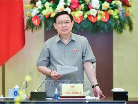 Chủ tịch Quốc hội chủ trì cuộc họp chuẩn bị cho Phiên họp của Ủy ban Thường vụ Quốc hội