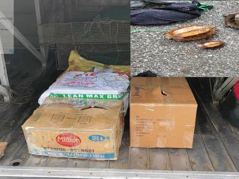 Phát hiện xe khách chở động vật quý hiếm, nguy cấp