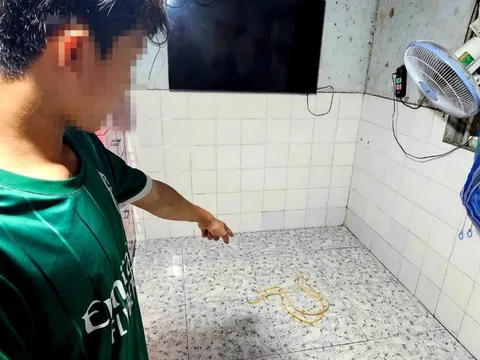 Bắt khẩn cấp người chồng hành hạ vợ dã man vì ghen tuông