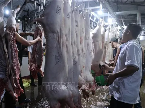 Rà soát lại toàn bộ hệ thống quản lý an toàn thực phẩm từ sản xuất đến tiêu dùng