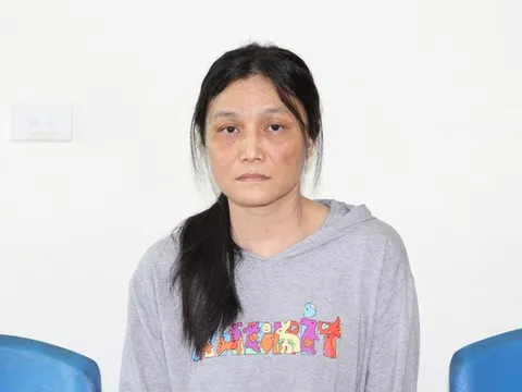 Bắt đối tượng giả 'hotgirl' Việt kiều để lừa đảo chiếm đoạt 12 tỷ đồng