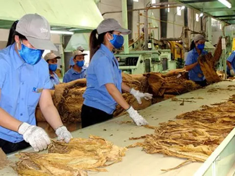 Đề xuất mới về nhiệm vụ của Cục Công nghiệp liên quan đến kinh doanh thuốc lá