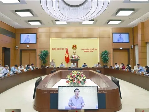 Cân nhắc phương án giải ngân vốn đầu tư phát triển