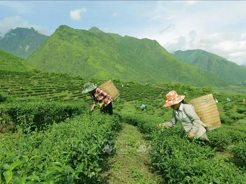 Lập Hội đồng thẩm định Báo cáo đề xuất điều chỉnh chủ trương đầu tư Chương trình mục tiêu quốc gia