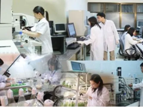 Đề xuất tiêu chí, điều kiện cộng nhận người có tài năng