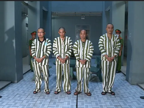 Triệt phá đường dây mua bán thận thu lợi bất chính hơn 12 tỷ đồng