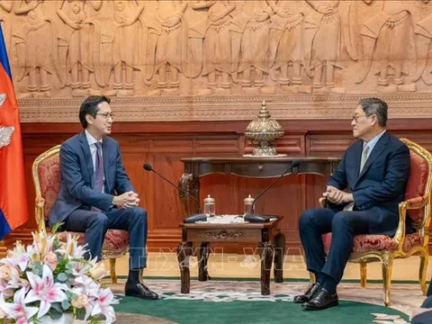 Tham khảo Chính trị lần thứ 8 giữa hai Bộ Ngoại giao Việt Nam - Campuchia