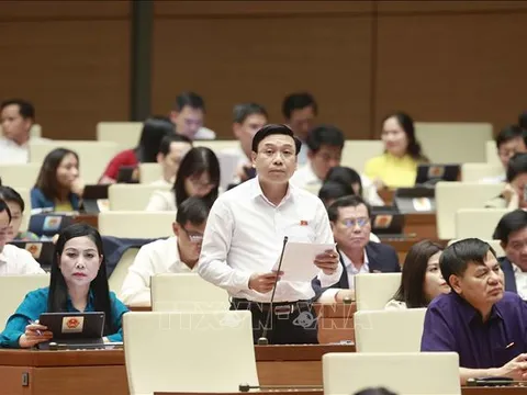 Thúc đẩy mạnh mẽ các động lực tăng trưởng