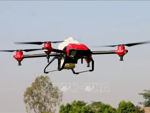 Đơn giản hóa 35 thủ tục hành chính thuộc phạm vi quản lý của Bộ Quốc phòng