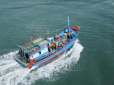 Tập trung thực hiện các giải pháp cấp bách chống khai thác hải sản bất hợp pháp