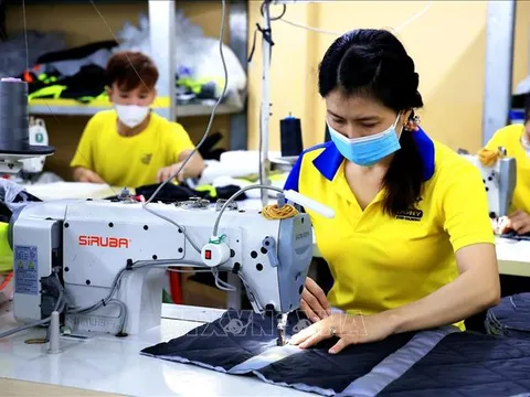 Phê duyệt Chương trình quốc gia về tăng năng suất lao động đến năm 2030