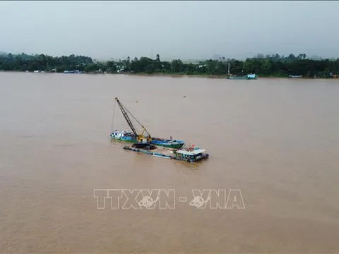 Lũng đoạn đấu giá: Làm nghiêm với 'chiến thuật tằm ăn dâu'