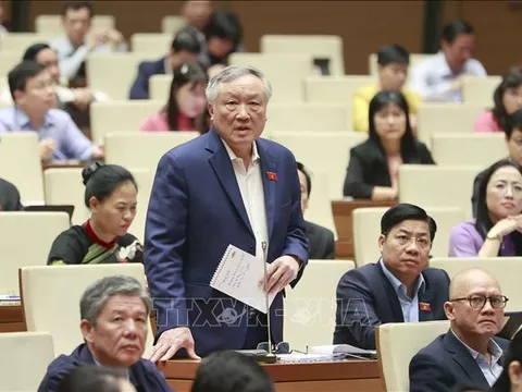 Ngày 21/11, Quốc hội thảo luận các báo cáo và báo cáo thẩm tra lĩnh vực nội chính, pháp luật