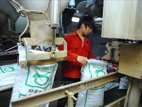 Phê duyệt Đề án Phát triển công nghiệp chế biến thức ăn chăn nuôi