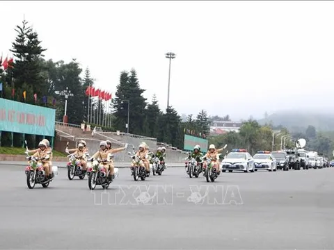 Tấn công, trấn áp tội phạm, bảo đảm an ninh, trật tự dịp trước Tết Giáp Thìn