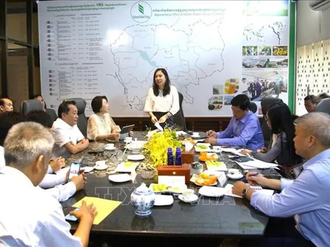 Nhiệm vụ, cơ cấu tổ chức của Ủy ban Nhà nước về người Việt Nam ở nước ngoài