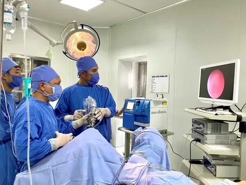 3 Luật có hiệu lực từ 01/01/2024