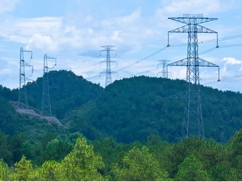 Quy định mới về tạm sử dụng rừng phục vụ thi công dự án lưới điện vì lợi ích quốc gia, công cộng