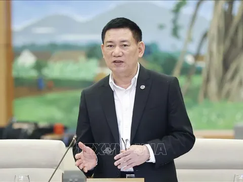 Giám sát kinh doanh bảo hiểm, casino, trò chơi điện tử có thưởng