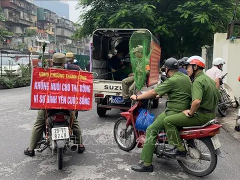 Tổ chức triển khai quyết liệt, có hiệu quả công tác phòng, chống bệnh dại