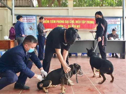 Chỉ đạo, điều hành của Chính phủ, Thủ tướng Chính phủ nổi bật tuần từ 11-15/3/2024