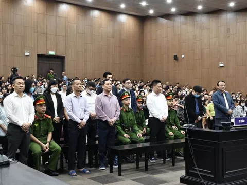 Tuyên án Chủ tịch Tân Hoàng Minh và con trai